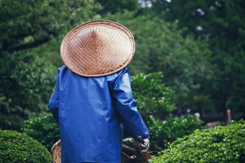 Exploring Asia